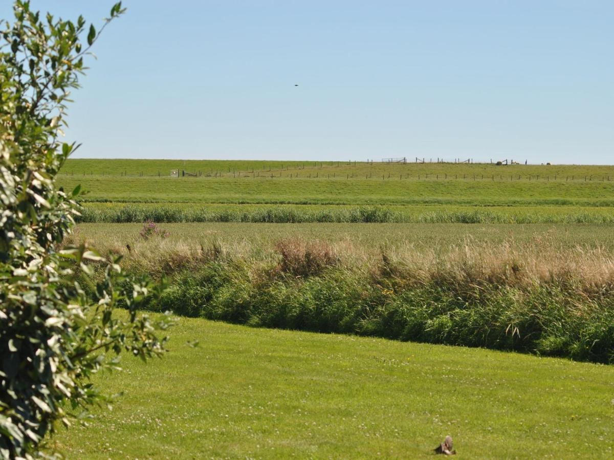Charming Holiday Home In Texel Near Sea Oost  Eksteriør bilde